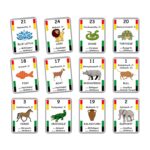 Jainism for Kids Flash Cards | Homeschooling | Laminated Flash Cards | Early Education - 24 Jain Teerthankras, Symbols, Birthplace (Digambar) - Image 2