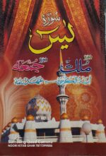 Surah Yasin Book – Arabic | 11 Pcs Pack | Pocket Size Quran Book | Islamic Booklet - Image 2