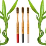 Vernam Phoenix Bamboo Toothbrush | Biodegradable | Soft Bristles| Plastic-Free Soft Toothbrush | Manual Toothbrush for Adults - Sustainable and Gentle Oral Care | Pack of 1 | 3 Brushes - Image 2