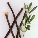 Weinbux Zaitoon Olive Herbal Miswak Natural Toothbrush Sticks | For Plaque Removal | Eco Friendly Chewing Sticks | Manual | Healthy Toothbrush | Pack of 3 - Image 2