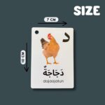 Arabic Alphabet Flash Cards for Kids Toddler and Adults, Arabic First Words, Letter Recognition, Homeschool Learning, Arabic Teacher - Image 6