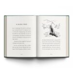 Life's Magic Moments - Image 7
