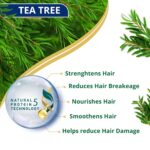 Himalaya Anti-Dandruff Shampoo | Removes up to 100% Dandruff | Soothes the Scalp & Nourishes Hair | With the goodness of Tea Tree Oil & Aloe Vera | For Women & Men | 340ml - Image 4