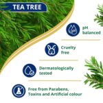 Himalaya Anti-Dandruff Shampoo | Removes up to 100% Dandruff | Soothes the Scalp & Nourishes Hair | With the goodness of Tea Tree Oil & Aloe Vera | For Women & Men | 340ml - Image 5