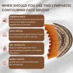 OVIOL Lymphatic Contour Face Brush | Lymphatic Brush Face Massager for Sculpting and Drainage | Face Massage Tool for Jawline and Neck | Soft Bristles Ergonomic Design with Travel Case - Image 5