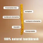 Pack of 2 Natural Miswak Toothbrush - Vacuum Sealed Traditional Toothbrush Stick - for Healthy Teeths,Gums and Fresh Breath (Clove Flavor) - Image 4