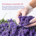 Nat Habit Cold Processed Himalayan Lavender Soap | Gentle, Non-Drying & Moisturising | Handmade | Natural | Sulphate & Paraben Free | Pack of 2 x 125g - Image 5