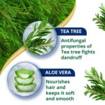 Himalaya Anti Dandruff Shampoo With Tea Tree Removes Dandruff & Soothes Sclap, 1000 ml - Image 5