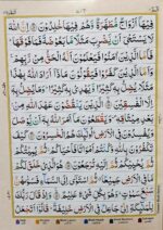 Al Quran Al Kareem Ref. 3 CC | 13 Lines Rainbow Colour Coded | Tajweed Rules | Quran Recitation Book With Free Rehel And Juzdan Cover - Image 5