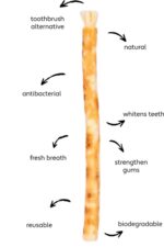Miswak Sticks Natural Manual Toothbrush for Adult/Datun/Pack of 20/Wooden Miswak for White & HealthyTooths/Natural Tooth brush/Natural Teeth Whitening Set - Image 3