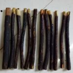 RBLISS CG Natural Black Zaitoon Miswak Olive Herbal Miswak Toothbrush | Eco Friendly Chewing Sticks |FOR Healthy Teeth Toothbrush| Black Olive Miswak – Zaytoon (Pack of 5) - Image 4