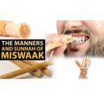 RBLISS CG Natural Black Zaitoon Miswak Olive Herbal Miswak Toothbrush | Eco Friendly Chewing Sticks |FOR Healthy Teeth Toothbrush| Black Olive Miswak – Zaytoon (Pack of 5) - Image 8