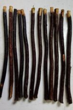RBLISS CG Natural Black Zaitoon Premium Miswak Black Olive Herbal Miswak Toothbrush | Eco Friendly Chewing Sticks |FOR Healthy Teeth Toothbrush| Pack of 20 - Image 4