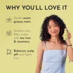 Fix My Curls Cleansing Shampoo for Curly Hair & Wavy Hair| Enriched with Tea Tree & Rosemary Oil| Anti-Frizz, Anti-Itch Silicone-Free & Sulfate-Free (100g) - Image 5