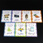Enakshi® 28Pcs Arabic Alphabet Flash Cards for 3+ Years Preschool to Kindergarten|Toys & Hobbies | Educational | Other Educational Toys - Image 7