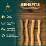 Pack of 3 Miswak Sticks for Teeth with Holder - Natural Toothbrush for Teeth Whitening, Oral Health & Fresh Breath - Vacuum Sealed Natural Flavored Chew Sticks for Humans || Pack of 3 - Image 3