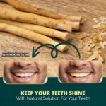 Pack of 3 Miswak Sticks for Teeth with Holder - Natural Toothbrush for Teeth Whitening, Oral Health & Fresh Breath - Vacuum Sealed Natural Flavored Chew Sticks for Humans || Pack of 3 - Image 5
