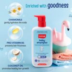 LuvLap Milky Soft Baby Shampoo - 600ml, Tear Free Formula, Ph 5.5,With Milk Protein, Vitamin E & Coconut Oil, Shea Butter & Chamomile, Soft & Shiny Hair, No Paraben, Dermatologically Tested - Image 5