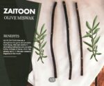 RBLISS CG Zaitoon/Black Olive Herbal Miswak Natural Manual, Adult Toothbrush Sticks | Datun Chewing Sticks | Healthy Eco Friendly Toothbrush | Pack Of 3 - Image 3