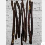 RBLISS CG Zaitoon/Black Olive Herbal Miswak Natural Manual, Adult Toothbrush Sticks | Datun Chewing Sticks | Healthy Eco Friendly Toothbrush | Pack Of 3 - Image 4