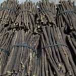 RBLISS CG Zaitoon/Black Olive Herbal Miswak Natural Manual, Adult Toothbrush Sticks |Premium Datun Chewing Sticks | Healthy Eco Friendly Toothbrush | Pack Of 6 - Image 4