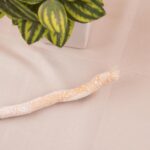 HADIYAH Miswak (Pack of 5) – 100% Natural Toothbrush | Sunnah Practice for Hajj & Umrah | Herbal Teeth Cleaning Stick | Chemical-Free Oral Care - Image 3