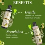 Khadi Natural Amla & Reetha Hair Cleanser & Conditioner Combo | Herbal Shampoo & Conditioner for Scalp Care | Helps Cleanse Hair & Improve Hair Texture | Gentle Herbal Hair Care | Suitable for All Hair Types | 210ml Each - Image 3
