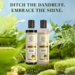 Khadi Natural Amla & Reetha Hair Cleanser & Conditioner Combo | Herbal Shampoo & Conditioner for Scalp Care | Helps Cleanse Hair & Improve Hair Texture | Gentle Herbal Hair Care | Suitable for All Hair Types | 210ml Each - Image 6