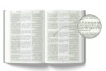 Holy Quran Urdu Translation In Roman Script With Transliteration&Arabic Text By Mufti Taqi Usmani - Image 4