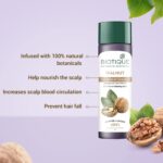 Biotique Walnut Volume and Bounce Shampoo and Conditioner | For Fine and Thinning Hair| Volumizing Shampoo for Thin Hair |100% Botanical Extracts |190ml - Image 4