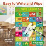 Arabic Alphabet Number Poster for Kids Arabic Alphabet Flash Cards with English Transliteration for Toddlers Kids Preschool & Kindergarten Classrooms - Image 4