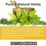 Zaitoon Olive Herbal Miswak Natural Toothbrush Sticks | Datun Chewing Sticks | Healthy Eco Friendly Manual Toothbrush | Pack Of 3 Stick | Adult - Image 4