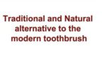 Zaitoon Olive Herbal Miswak Natural Toothbrush Sticks | Datun Chewing Sticks | Healthy Eco Friendly Manual Toothbrush | Pack Of 3 Stick | Adult - Image 5