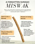 Adult Miswak Sticks For Teeth By Eco Compassion, 100% Natural Toothbrush|Eco Friendly Chewing Stick|Whiter, Fresher BreathPack of 20 vacumm packed - Image 5