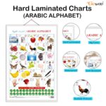 Set of 2 Action Words and Arabic Alphabet (Arabic) Early Learning Educational Charts for Kids | 20"X30" inch |Non-Tearable and Waterproof | Double Sided Laminated | Perfect for Homeschooling, Kindergarten and Nursery Students - Image 3