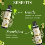 Khadi Natural Amla & Reetha Hair Shampoo | Anti-Hair Fall Shampoo | Shampoo for Thick & Strong Hair | Ayurvedic Shampoo for Healthy Hair | Suitable for All Hair|Pack of 2 | (210 * 2) (420 ml) - Image 3