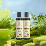 Khadi Natural Amla & Reetha Hair Shampoo | Anti-Hair Fall Shampoo | Shampoo for Thick & Strong Hair | Ayurvedic Shampoo for Healthy Hair | Suitable for All Hair|Pack of 2 | (210 * 2) (420 ml) - Image 4