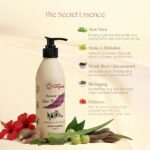 Botani Glow Hair Conditioning Shampoo – With Hibiscus, Bhringraj, Aloe Vera & Amla | Reduces Hair Fall, Restores Smoothness & Healthy Shine, Anti-Dandruff| Paraben-Free | 250 ml - Image 7