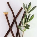 Adult Zaitoon Olive Herbal Miswak Natural Manual Toothbrush Sticks|Eco Friendly Chewing Sticks|Pack Of 6 - Image 2