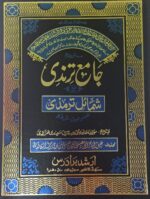 Jame Tirmizi Mutarjam Urdu translate of hadith 2 Vol set - Image 2