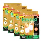 Kiyome Kinoki Detox Foot Pads - Ginger & Salt Adhesive Patches for Foot Care, Body Cleansing, Pain Relief, Relieve Stress, Relaxation (Pack of 4 (40 Pads)) - Image 2