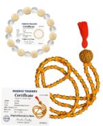 Original 5 Mukhi Rudraksha Mala 12 Inch Golden Glass & Red Plastic Beads with 1 Natural Rudraksha Japa Mala for Pooja Meditation Mantra Chanting & Hindu Spiritual Wear (MALA with Bracelet) - Image 2
