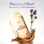 Sacred Grove Herbal Shampoo with Marshmallow Root | Natural Shampoo for frizzy and dry hair| Sulphate Free Shampoo for Gentle Hair & Natural Hairfall Control | Unisex 250ml - Image 2