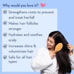WishCare Multi Peptide Anti Hairfall Shampoo For Frizzy and Dry Hair | Controls Hairfall & Promotes Hair Growth | Peptides, Rice Water, Rosemary & Caffeine | Paraben & Sulphate Free Shampoo For Women & Men | For All Hair Types | 120ml - Image 4