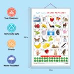 Set of 2 Shapes and Arabic Alphabet (Arabic) Early Learning Educational Charts for Kids | 20"X30" inch |Non-Tearable and Waterproof | Double Sided Laminated | Perfect for Homeschooling, Kindergarten and Nursery Students - Image 4