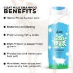 VCare Goat Milk Shampoo for Dry & Damaged Hair | Deep Nourishing | Suitable for All Hair Types | Long-Lasting Softness & Shine | 200ml | Buy 1 Get 1 Free - Image 3