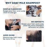 VCare Goat Milk Shampoo for Dry & Damaged Hair | Deep Nourishing | Suitable for All Hair Types | Long-Lasting Softness & Shine | 200ml | Buy 1 Get 1 Free - Image 5
