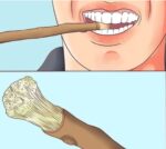 Opalite Zaitoon Olive Herbal Miswak Natural Manual, Adult Toothbrush Sticks | Datun Chewing Sticks | Healthy Eco Friendly Toothbrush | Pack Of 3 - Image 3