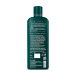 Dr Batra's Hair Fall Control Shampoo with Watercress, Indian Cress Extract & Thuja | Helps Reduce Hair Fall & Strengthen Hair | Anti Hair Fall Shampoo for Men & Women | Gentle Daily Use Hair Care | 500 ml - Image 4