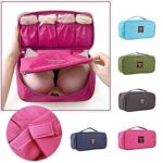 WISHBONE Innerwear Travel Organizer Bag for Women | Underwear, Bra & Socks Packing Cube | Secret Pouch Lingerie Storage Travel Organiser | Compact Luggage Storage Bag (Random Color Will Be Provided) - Image 3